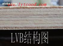 LVB木板 規格、價格與選購指南