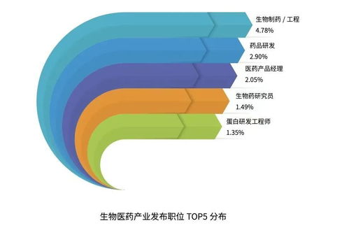 軟件技術開發(fā)與銷售 創(chuàng)新驅(qū)動與市場拓展的雙輪驅(qū)動