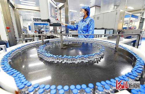 衡水新聞網(wǎng) 技術驅(qū)動下的軟件開發(fā)與市場銷售新篇章